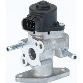 BorgWarner (Wahler) AGR-Ventil 710709D/1