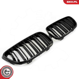 ESEN SKV Kühlergitter 66SKV032