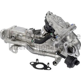 AGR Kühlermodul 7.11010.00.0
