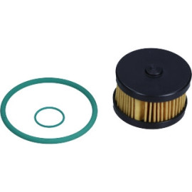 Gasfilter Renault Megane Iii 169198413R
