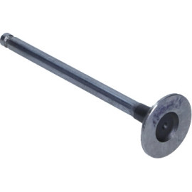Auslassventil R6283/RCR