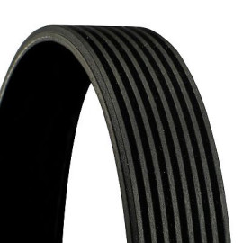 Continental CTAM Rillenriemen 8PK1840