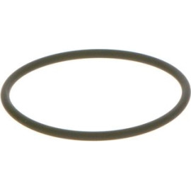 O-Ring F 00N 202 130