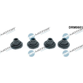 Dichtung, Zylinderkopfhaube DRM0601