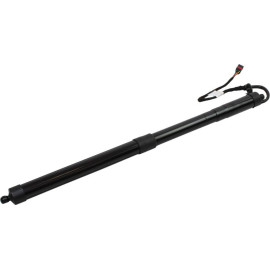 MAXGEAR Gasfeder, Einlegeboden (Koffer-/Laderaum) 12-2553 238840