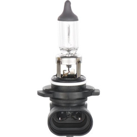 H10 12V 42W PURE LIGHT 1987302083