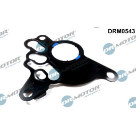 Dichtung, Unterdruckpumpe DRM0543