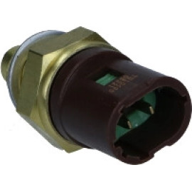 Sensor, Kühlmitteltemperatur TS10490