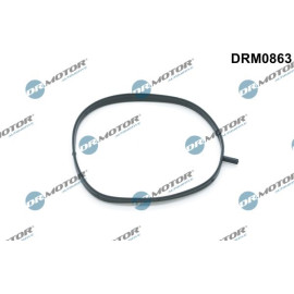Dichtung, Ansaugkrümmer, Verwendung DRM0863