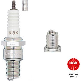 B8EG NGK-Zündkerze ohne RW 3430