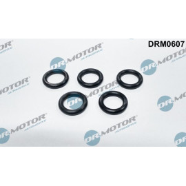 DR.MOTOR Dichtung, Ölsieb DRM0607