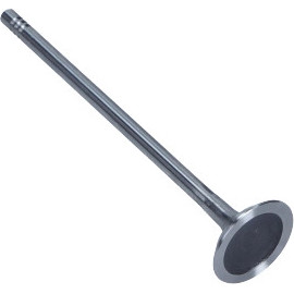 Auslaßventil R6725/R