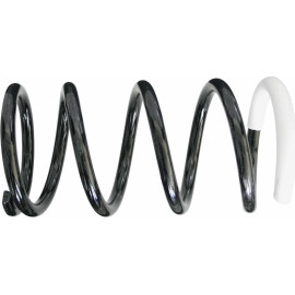 Sachs Fahrwerksfeder Toyota T. Rav 4 I (Sxa1_) 996 894