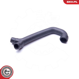 SKV GERMANY Ölschlauch 31SKV118