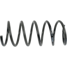 Sachs Fahrwerksfeder Db T. C-Class (W202), Slk (R170) 996 913