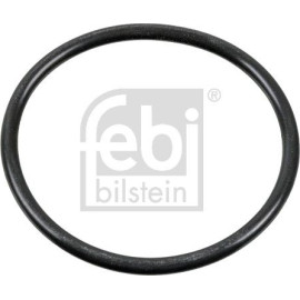 FEBI BILSTEIN O-Ring 100165
