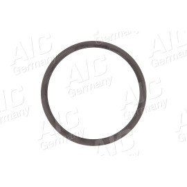 Sensorring ABS 55466