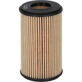 Filtron Ölfilter OE 666 Filtron Ölfilter OE 666