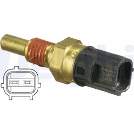 DELPHI Temperatursensor TS10479