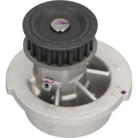 PA 442 Wasserpumpe DW-1002