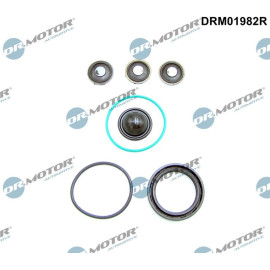 REPARATURSATZ, HOCHDRUCKPUMPE DRM01982R