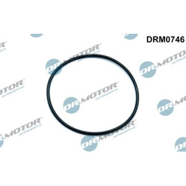 Dichtung, Unterdruckpumpe DRM0746