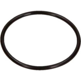 Dichtung, Thermostat 10258