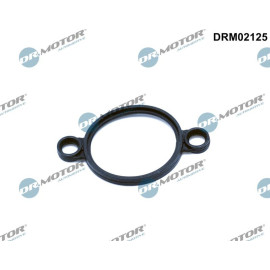 Dichtung, Stellelement (Exzenterwelle) DRM02125