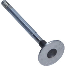 Auslassventil R6180/RCR
