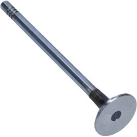 Auslassventil R6398/BMCR