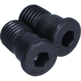 Schraube, Bremsscheibe 11666K