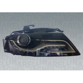 XEN-SW R D3S +MOT +TGFL -KRVL MAGNETI PQ 1329,531,1 XEN-SW R D3S +MOT +TGFL -KRVL MAGNETI PQ 1329,531,1