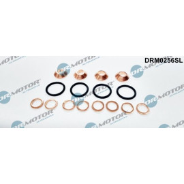 Einspritzdüse Dichtungssatz DRM0256SL