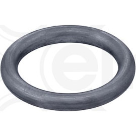 Dichtring 569.390