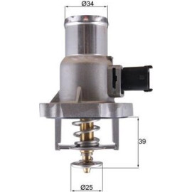 Kennfeldthermostat TM 55 105