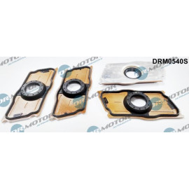 DR.MOTOR Dichtungssatz Einspritzdüse DRM0540S