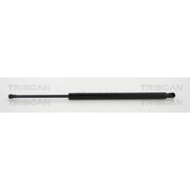Gasfeder, Koffer-/Laderaum 8710292101