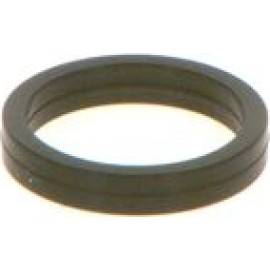 O-Ring F 00V C38 100