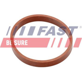 FAST Dichtung, Ansaugkrümmer FT49418