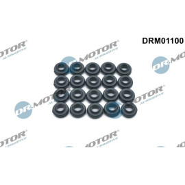 Dichtung, Zylinderkopfhaubenschrauben DRM01100