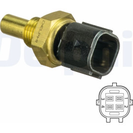 DELPHI Temperatursensor TS10494