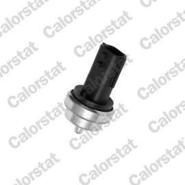 Sensor, Kühlmitteltemperatur WS3019