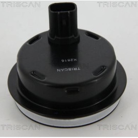 Sensor, Raddrehzahl 818013201