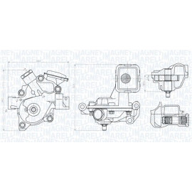 Magneti Marelli Ölpumpe 351516000146