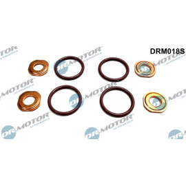 Einspritzdüse Dichtungssatz DRM018S