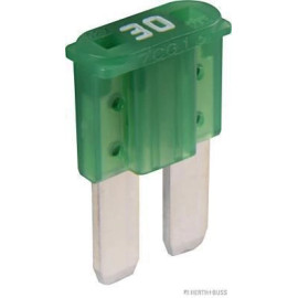 Micro2-Flachstecksich. 30A 1St 50295651