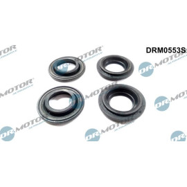 DR.MOTOR Dichtungssatz Einspritzdüse DRM0553S