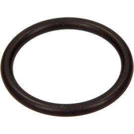 Fiat O-Ring (3,53 X 29,74) Kühl-/Ílsystem 14463580