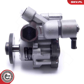ESEN SKV Hydraulikpumpe, Lenkung 10SKV290