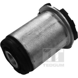 TEDGUM_TD Lagerung, Motor 00586029